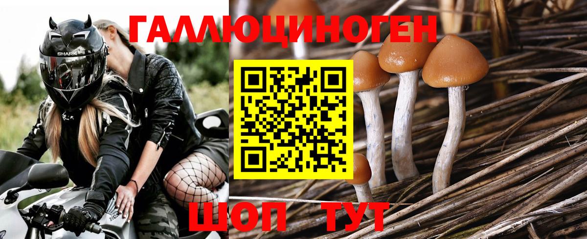 Галлюциногенные грибы GOLDEN TEACHER Ливны